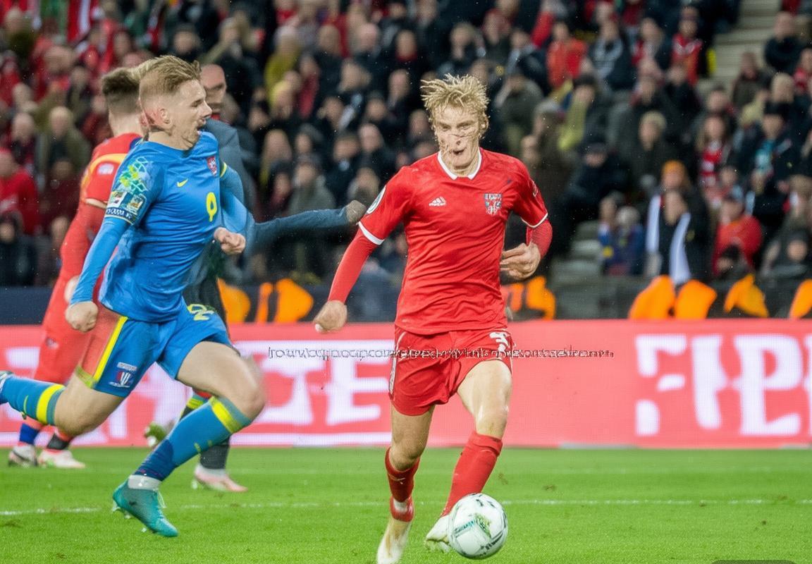 2018爱沙尼亚对立陶宛足球赛：历史交融与文化碰撞瞬间(图4)